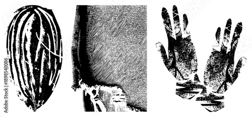 Black and white halftone graphic of coconut, human skin surface, and open hands, stylized with texture, artistic print effect, isolated vector elements.