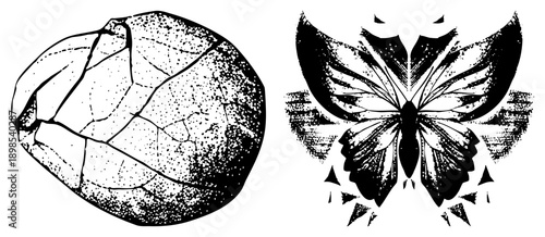 Black and white vector art of fractured rock and symmetrical butterfly, halftone shading, graphic design elements, isolated foreground subjects.