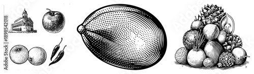 Classic halftone illustrations of durian, chili,, and historic building, rendered in detailed hatching and stippling, ideal for retro design or botanical archives.