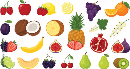 Large Fresh Fruit Illustration Collection Featuring Tropical Citrus Berries Apples Pineapple Coconut Figs Pears and Exotic Produce for Healthy Nutrition and Organic Food Concepts