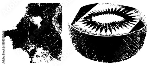 Graphic illustration of kiwi fruit section, textured halftone style, isolated fruit slice, vector art, fruit, food design, botanical illustration.