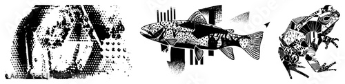 Stylized frog, trout, and bear rendered in halftone dots and geometric shapes, vector illustration, graphic design, wildlife, isolated animal motifs.