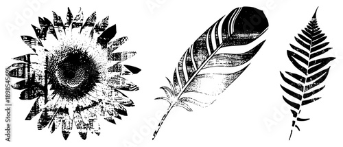 Stylized sunflower, feather, and fern rendered in distressed halftone, ideal for tattoo, print, or graphic design. Retro ink texture,, isolated elements.