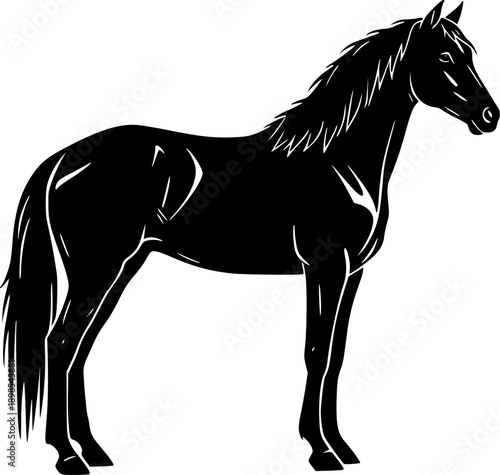 Isolated black vector silhouette of a standing horse side view on white, equestrian animal illustration for logo or symbol design.
