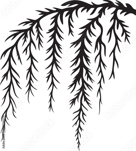 Black Weeping Willow Branches on White Background