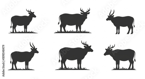 Collection of Antelope Silhouettes Standing on Grass.