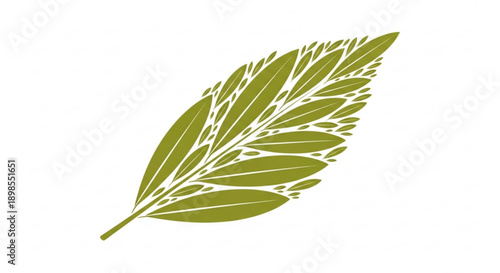 Olive green feather with intricate details and smooth curves