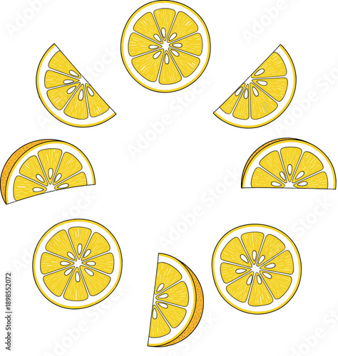 Yellow lemon citrus slice and fruit wedge set in circular arrangement for summer drink and organic food design vector.