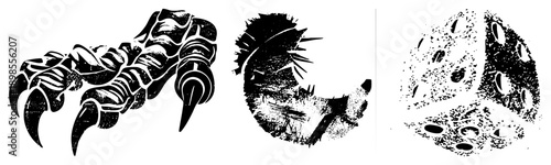 Graphic vector illustrations of clawed limb, spiky fur texture, and porous surface, rendered in bold black with halftone grain. Ideal for tattoo, print, or game assets.