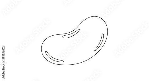 A black line drawing of a kidney bean on a white background simple outline illustration
