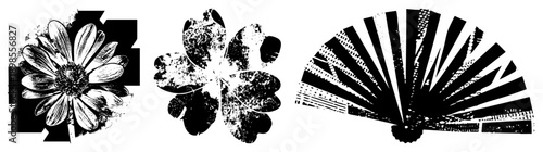 Black and white vector illustrations of daisy, clover, and fan with distressed halftone textures, isolated graphic elements for design use.