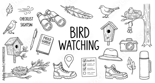 Collection of hand-drawn illustrations for bird watching and nature exploration activities