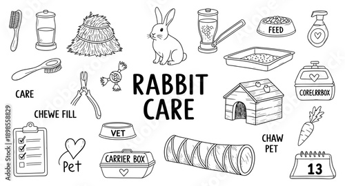 Essential rabbit care items illustrated in a charming doodle style for pet owners