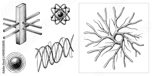 Vector illustrations of scientific atom model, DNA helix, neuron structure, particle accelerator, and lens diagram. Educational, research, biology, physics, and neuroscience visual aids.
