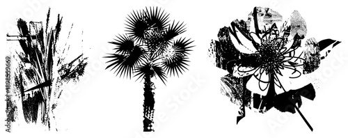 Graphic representations of plant life using bold strokes and halftone textures, stylized flora, artistic botanicals, vector nature art, plant designs.