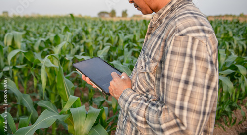 Photos Modern Asian farmer using digital tablet and stylus to monitor crop growth in corn field and vegetable farm