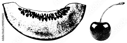 Vector graphic of melon wedge and cherry with halftone texture, fruit illustration, stylized food art, black ink sketch, dotted shading, isolated fruit elements.