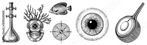 Detailed vector illustrations of lab flask, diving helmet, fish, compass, and eye, rendered in halftone style with intricate, ideal for educational or thematic design projects.