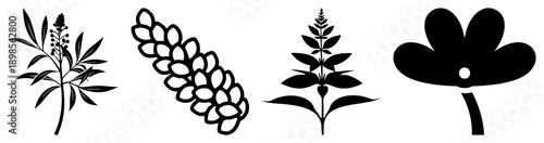 Abstract botanical illustrations featuring leafy stems, clustered pods, feathery sprigs, and a simple flower, rendered in bold black with no shading or gradients.