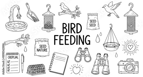 Collection of hand-drawn illustrations related to bird feeding and nature observation