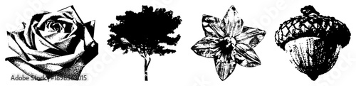 Rose, tree, lily, acorn nature symbols in black and white halftone, vector art, isolated foreground, botanical illustration, graphic design elements.