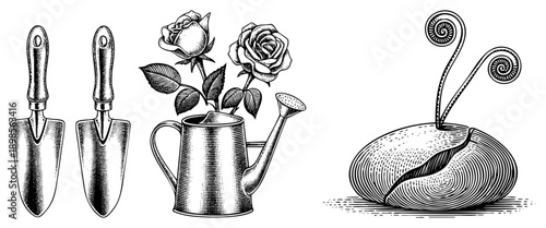 Classic gardening trowels, blooming roses in metal watering can, stylized open clam with spiral antennae, halftone engraved vector art, isolated botanical and marine motifs.