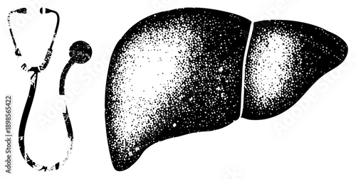 Liver organ with halftone texture beside stethoscope, medical diagnostic, hepatology symbol, healthcare illustration, black and white vector.