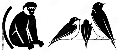 Black and white vector illustration of a monkey sitting beside three birds on a branch, stylized flat design, wildlife, nature graphic, animal silhouette art.