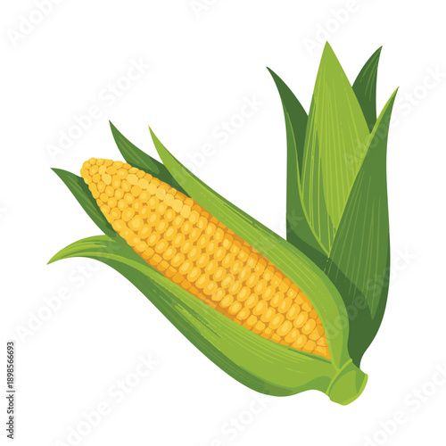corn on the cob