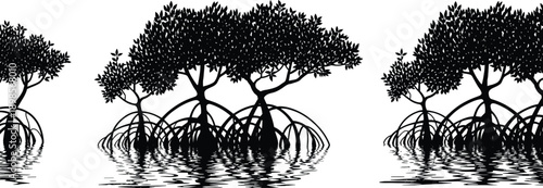 Mangrove forest silhouette with tree roots reflected in water coastal wetland ecosystem nature landscape isolated on white background
