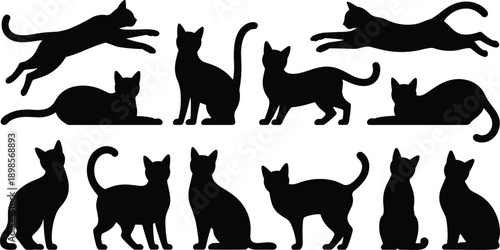 Cat silhouette collection showing different poses, jumping, sitting, walking feline shapes in black vector illustration set