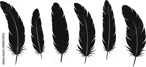 Black feather silhouettes vector collection with realistic shapes, minimal flat design, isolated on white background for logo design, tattoo art, print, and decorative graphic use