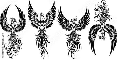 Phoenix bird tattoo vector collection with flaming wings and flowing feathers, black tribal illustration silhouettes isolated on white background for mythology, rebirth, and fantasy designs