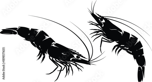 Shrimp silhouettes vector illustration showing detailed crustacean seafood figures in dynamic poses, black marine animals isolated on white background for fishing, food, and ocean design concepts