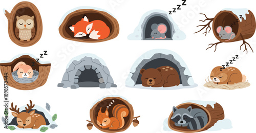 Cute forest animals sleeping in nests and burrows winter hibernation clipart set with fox bear squirrel illustration