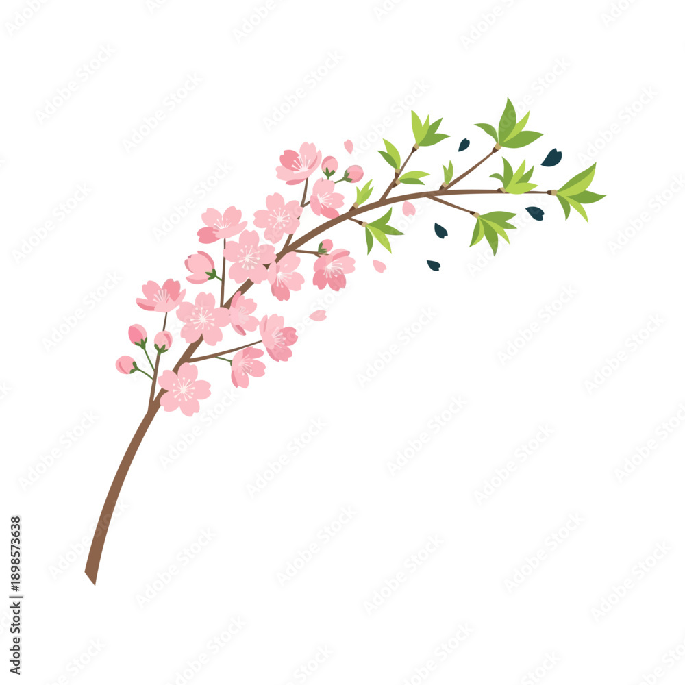 Fototapeta premium Spring Equinox delicate cherry blossom branch with pink flowers and green leaves