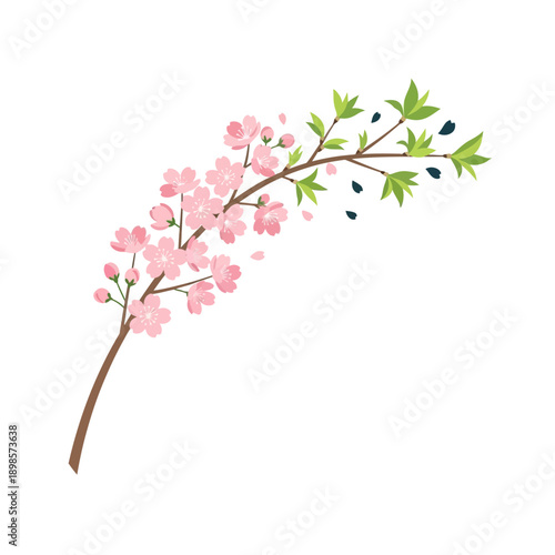 Spring Equinox delicate cherry blossom branch with pink flowers and green leaves