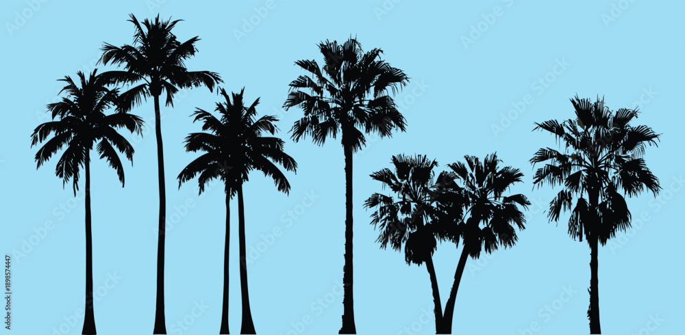 Obraz premium Silhouettes of various palm trees against a stark white background