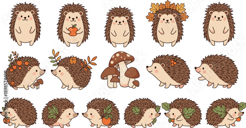 Cute hedgehog character pose set with autumn leaves, mushrooms and forest woodland animal cartoon illustration collection