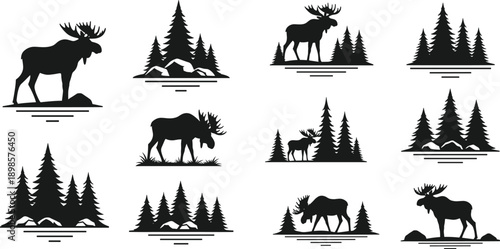 Large set of black moose silhouettes and pine tree forest icons isolated on white background for rustic nature and wilderness logo design