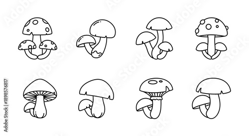 Mushrooms illustrations grouped minimalist line art white background