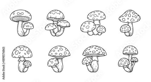 Mushrooms illustrations grouped mushrooms vector black and white nature elements