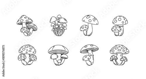 Mushrooms illustrations grouped mushrooms black outline whimsical design