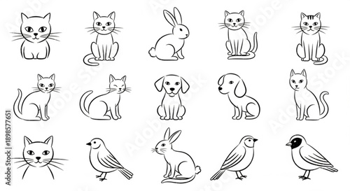 Collection of adorable cats, dogs, rabbits, and birds illustrations