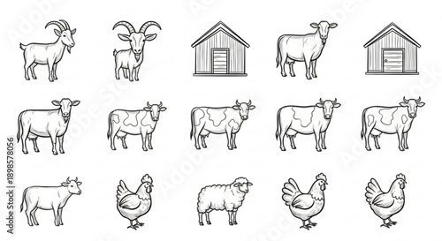 Farm animals and barn illustrations set