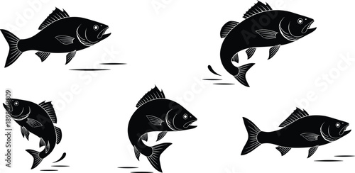 Set of black fish silhouette vector illustrations jumping and swimming isolated on white background for fishing logo and sport design