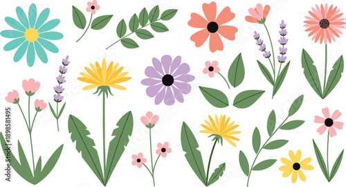 Cute wildflower and botanical element set with colorful flowers, leaves and spring garden decoration illustration collection