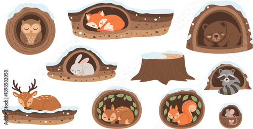 Cute woodland animals sleeping in burrows and tree hollows winter forest clipart set for kids illustration