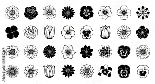 Collection of hand drawn black and white floral illustrations and flower silhouettes