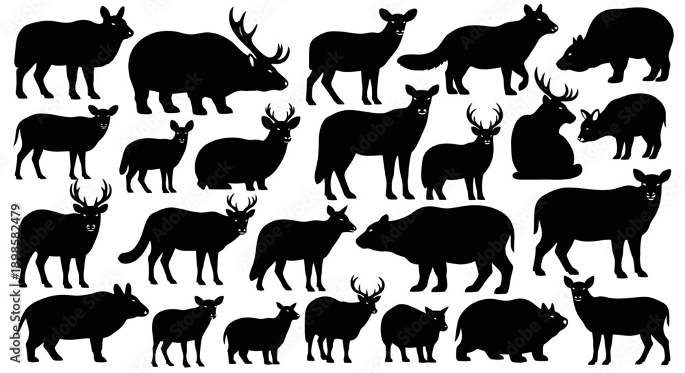 Fototapeta premium Collection of diverse wildlife animal silhouettes in black and white